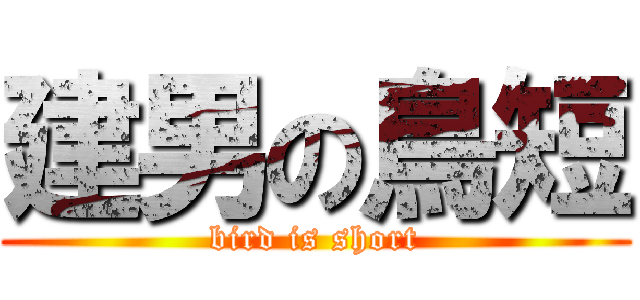 建男の鳥短 (bird is short)