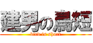 建男の鳥短 (bird is short)