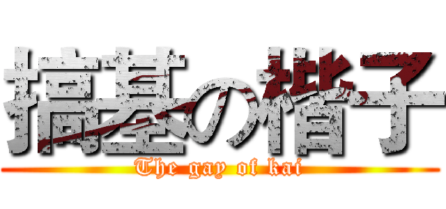 搞基の楷子 (The gay of kai)
