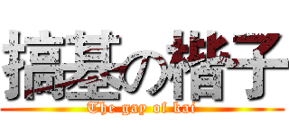 搞基の楷子 (The gay of kai)