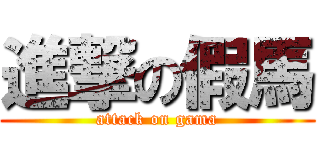 進撃の假馬 (attack on gama)