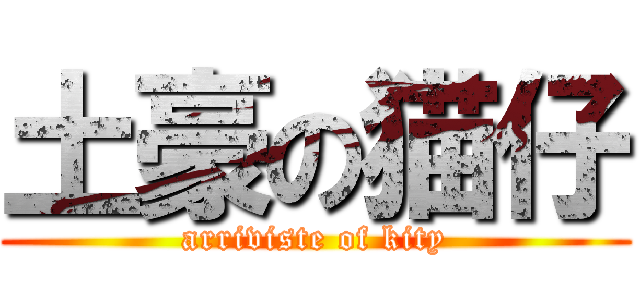 土豪の猫仔 (arriviste of kity)