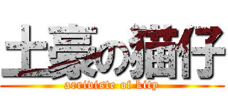 土豪の猫仔 (arriviste of kity)