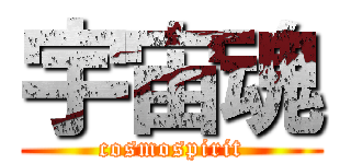 宇宙魂 (cosmospirit)