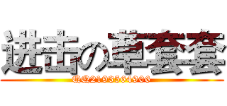 进击の草套套 (QQ2193564906)
