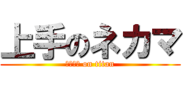 上手のネカマ (ﾘｭｰﾔ on titan)