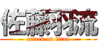 佐藤羽流 (attack on titan)