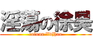 淫蕩の徐昊 (colour XvHao)