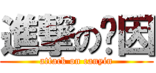 進撃の灿因 (attack on canyin)