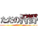 ただの狩野 (ただのかりの)