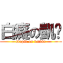 白癡の凱汶 (stupid on kelvin)