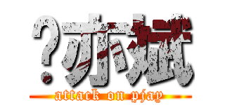 张亦斌 (attack on pjay)