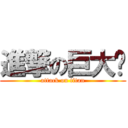 進撃の巨大伟 (attack on titan)