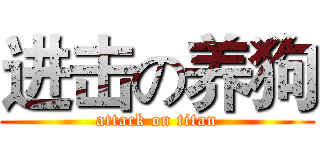 进击の养狗 (attack on titan)