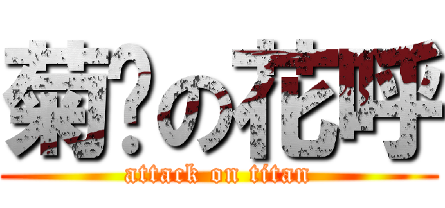 菊姊の花呼 (attack on titan)