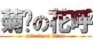 菊姊の花呼 (attack on titan)