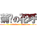 菊姊の花呼 (attack on titan)