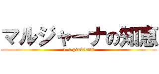 マルジャーナの知恵 (1-4 problems)