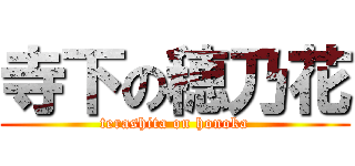 寺下の穂乃花 (terashita on honoka)