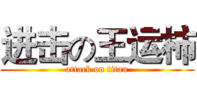 进击の王运柿 (attack on titan)