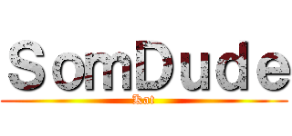 ＳｏｍＤｕｄｅ (Kat)