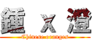 鍾 ｘ 澄 (Chinese oranges)