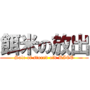 餌米の放出 (Sale of stored old RICE)