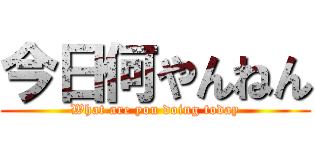 今日何やんねん (What are you doing today)