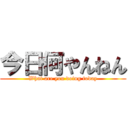 今日何やんねん (What are you doing today)