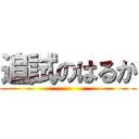 追試のはるか ()