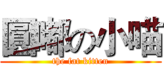 圓嘟の小喵 (the fat kitten)