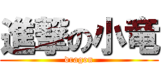 進撃の小竜 (dragon)