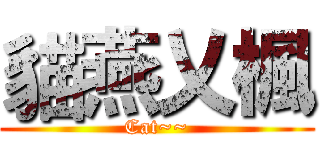 貓燕乂楓 (Cat~~)