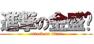 進撃の金盛权 (attack on titan)
