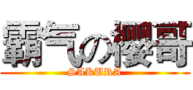 霸气の樱哥 (SAKURA)