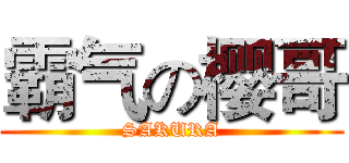 霸气の樱哥 (SAKURA)