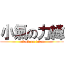 小氣の力緯 (attack on titan)