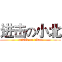 进击の小北 (attack on titan)