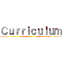 Ｃｕｒｒｉｃｕｌｕｍ ()