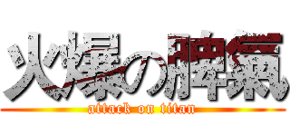 火爆の脾氣 (attack on titan)