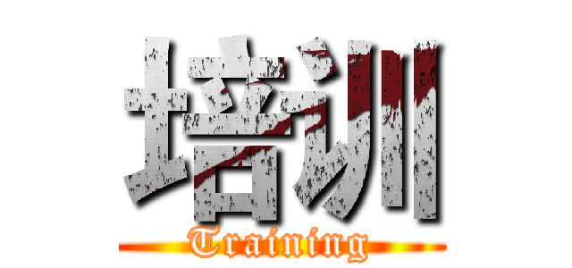 培训 (Training)