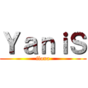 ＹａｎｉＳ (ilona)