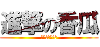 進撃の香瓜 (メロンかわいい)