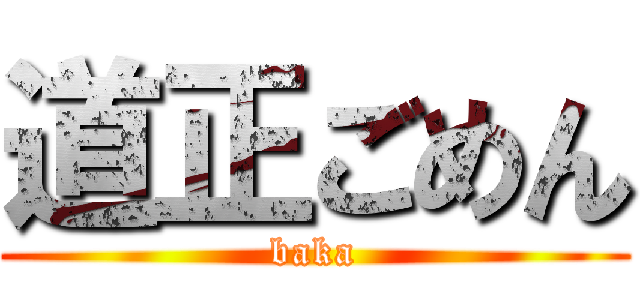 道正ごめん (baka)