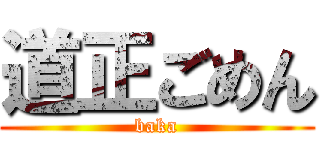 道正ごめん (baka)