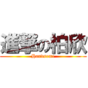 進撃の柏欣 (Handsome)