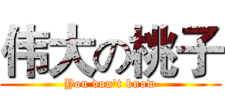 伟大の桃子 (You don't know)