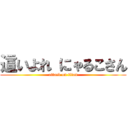 這いよれ にゃるこさん (attack on titan)