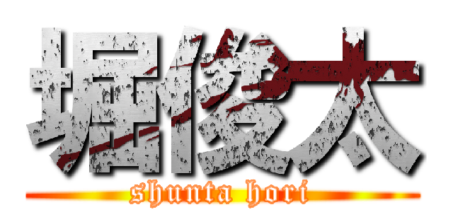 堀俊太 (shunta hori)