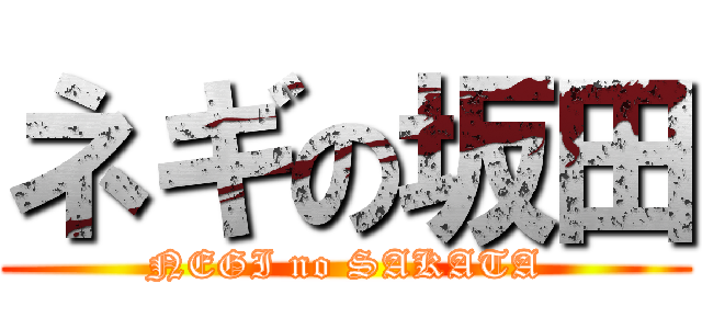 ネギの坂田 (NEGI no SAKATA)